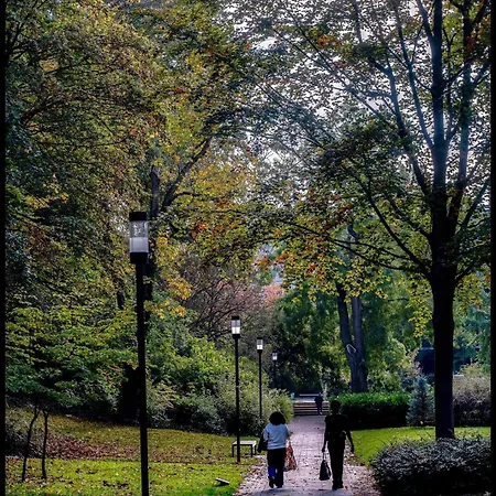 Coeur Du Boulingrin Reims