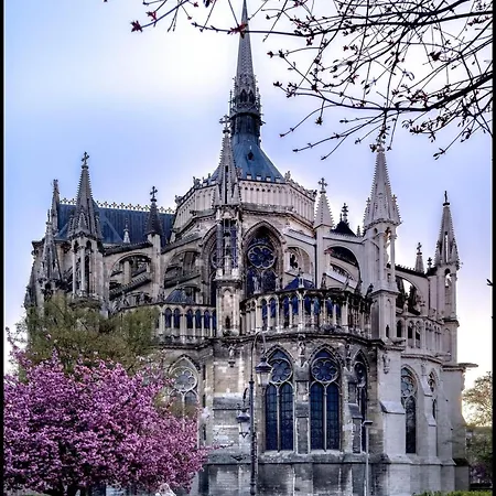 Appartement Coeur Du Boulingrin