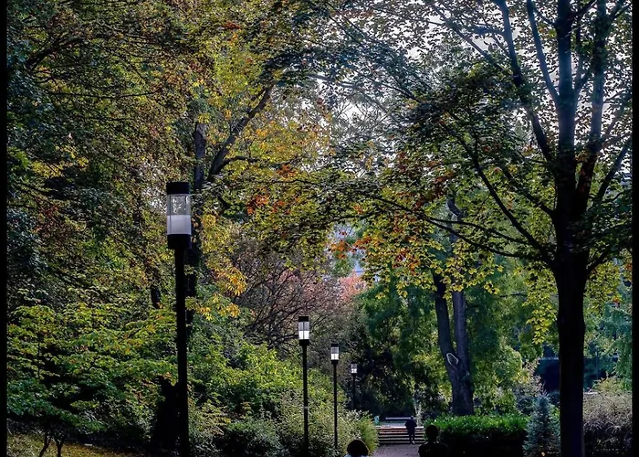 Coeur Du Boulingrin رانس